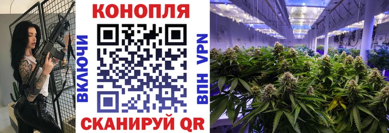 Марихуана THC 21%  Коряжма 